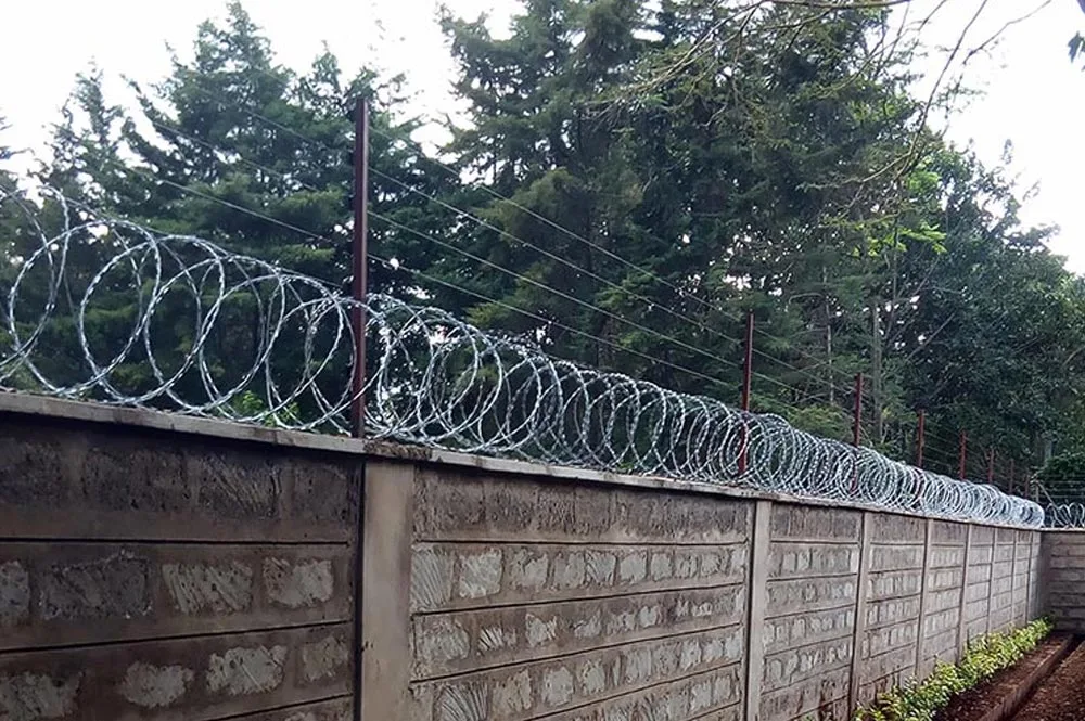Electric Fence Installation